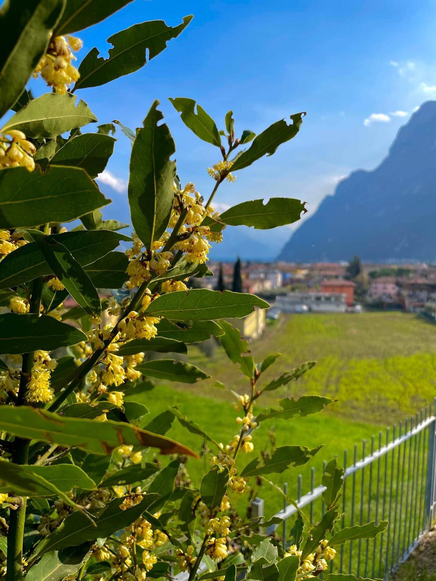 View & Chill Apartment Riva del Garda Exterior foto